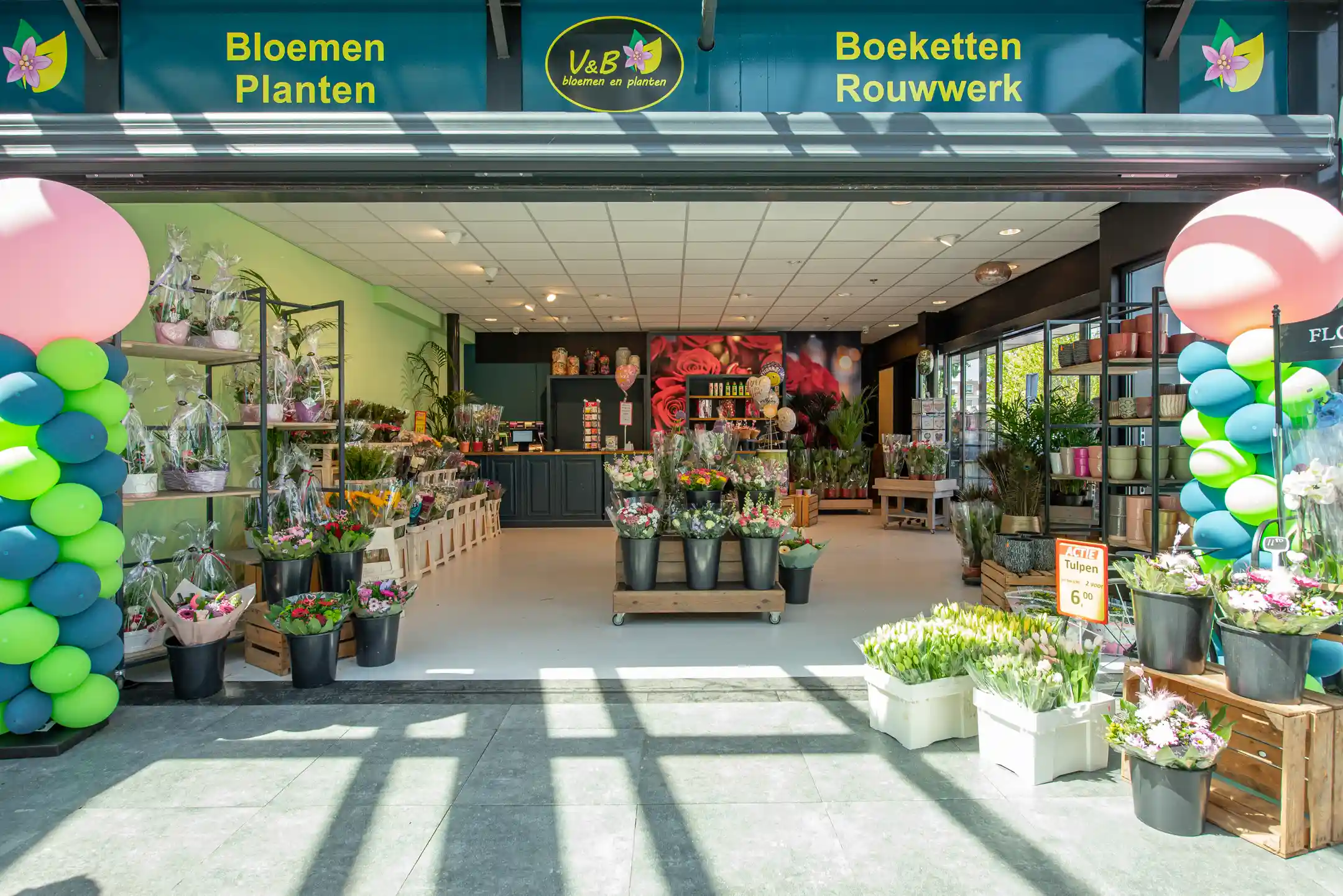 V&B bloemen en planten