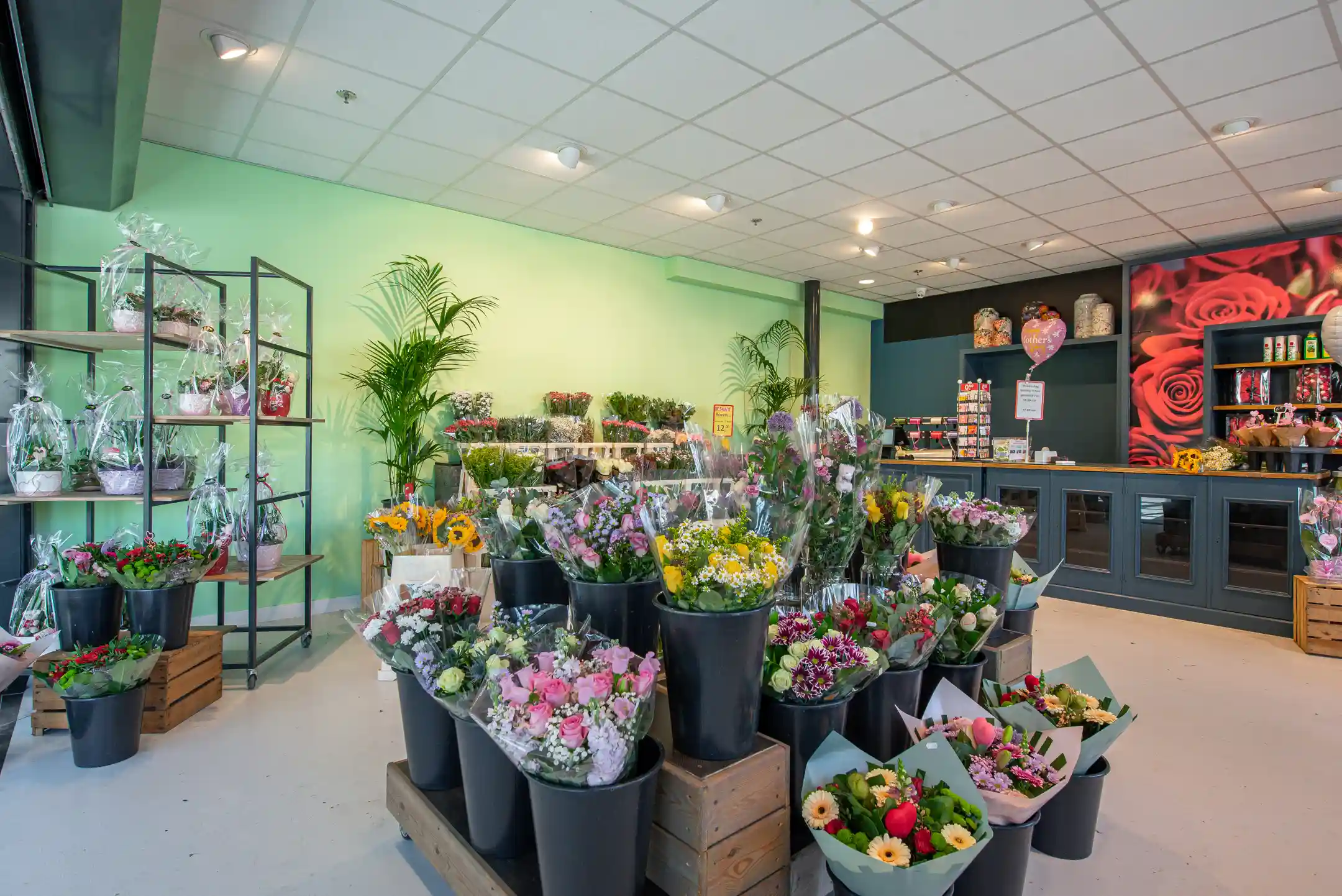 V&B bloemen en planten
