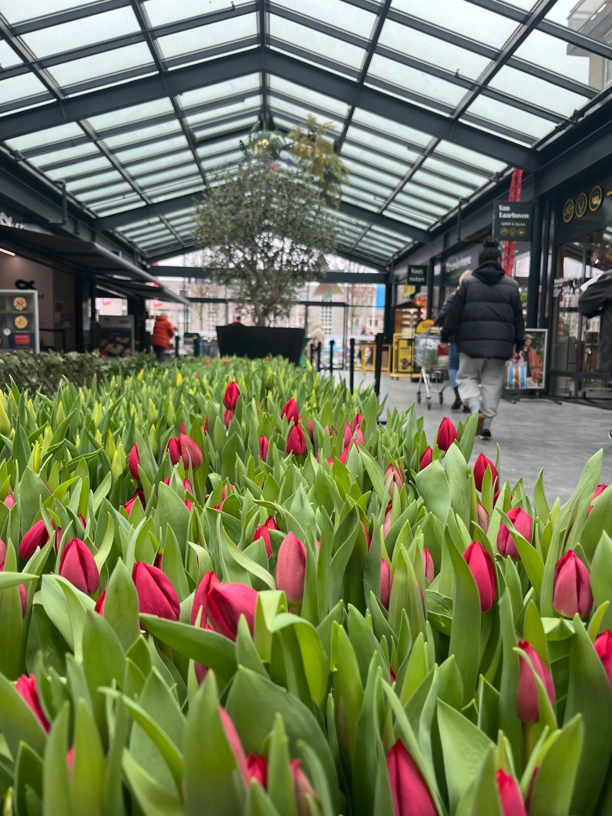 WhatsApp Image 2026-03-25 at 11.35.16