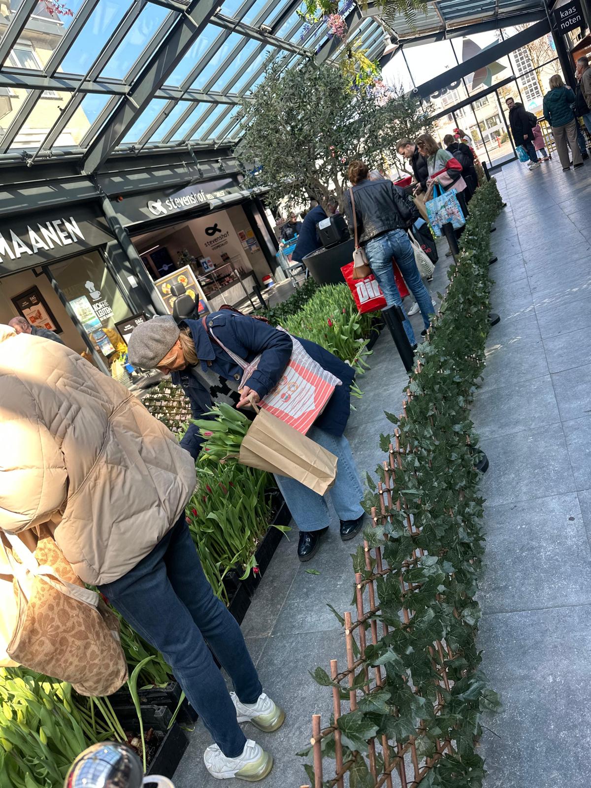 WhatsApp Image 2026-03-25 at 11.35.17 (11)