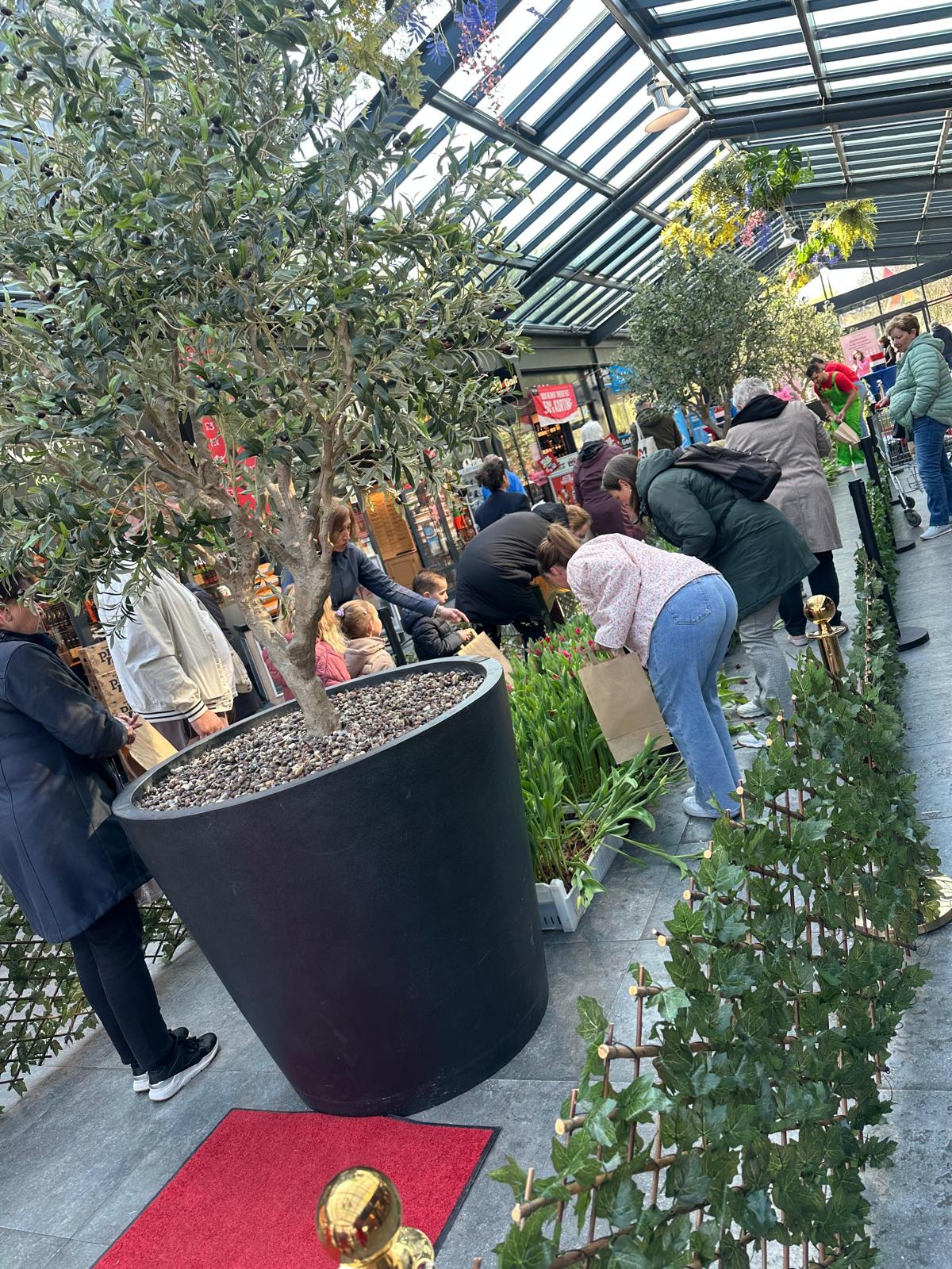 WhatsApp Image 2026-03-25 at 11.35.17 (12)