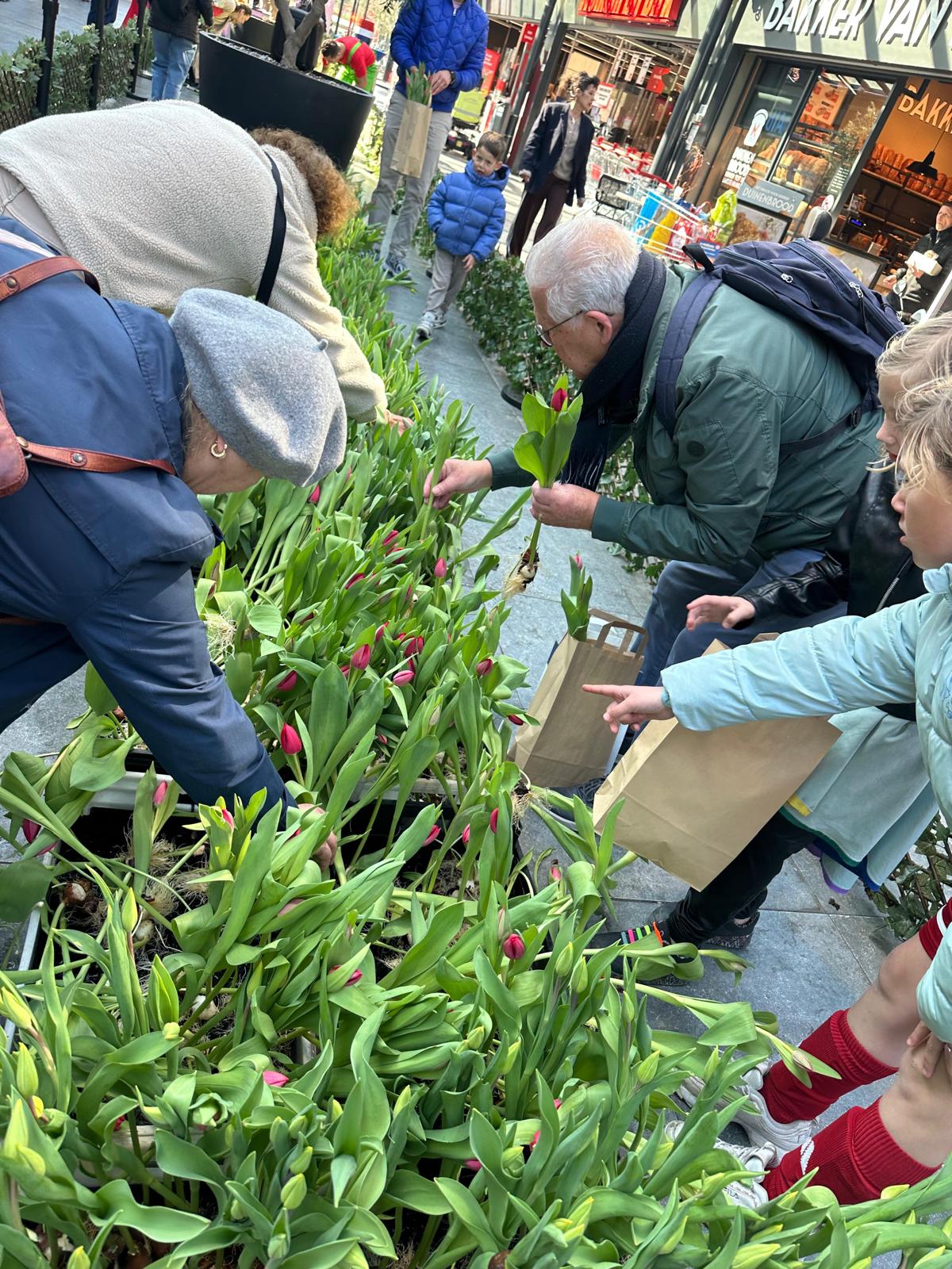 WhatsApp Image 2026-03-25 at 11.35.17 (9)